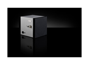 Goldmund metis sub