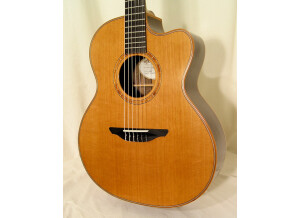 Avalon Guitars A25J