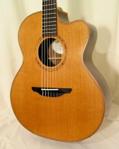 Avalon Guitars A25J