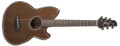 Deux nouvelles électro-acoustiques Ibanez