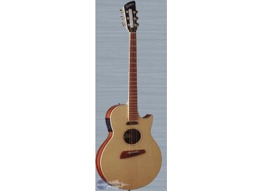 Washburn NV300