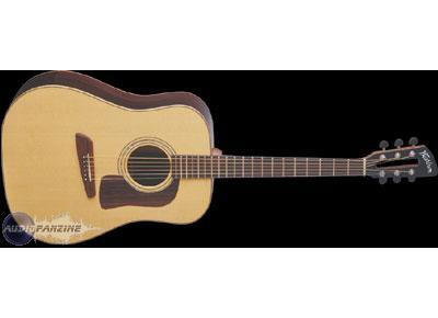 Washburn D82SW