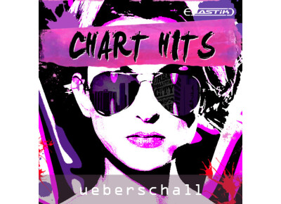 Ueberschall Chart Hits