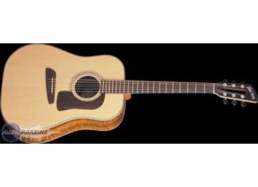 Washburn D84SW