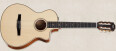 Guitares Taylor Fall 2012 Limited Edition