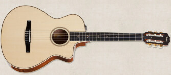 Guitares Taylor Fall 2012 Limited Edition