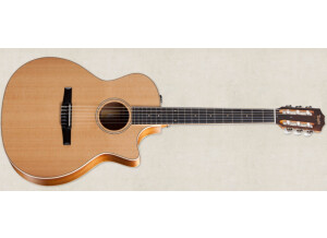 Taylor 414ce-N-FLTD 2012