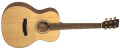 Recording King RO-310 OOO