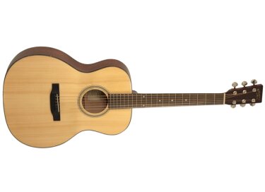 Recording King RO-310