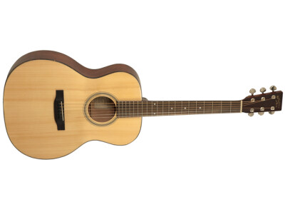 Recording King RO-310