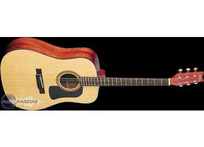Washburn D10S