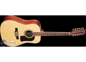 Washburn D10S12