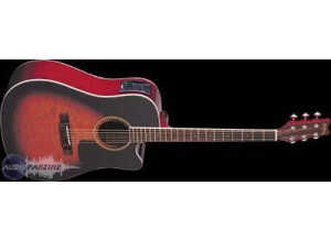 Washburn D10CEQ