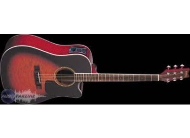 Washburn D10CEQ
