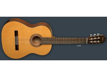 Washburn C40