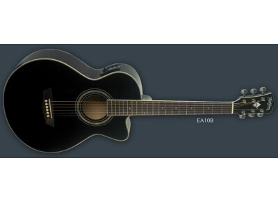 Washburn Festival EA10