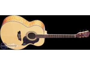 Washburn J28SDL