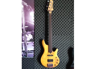 Ibanez RDGR500