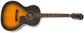 Epiphone amplifie son EL-00