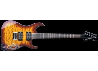 Washburn X22Q