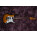 See the photo of the Ibanez RT240 Ibanez RT240