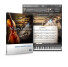Native Instruments Action Strings