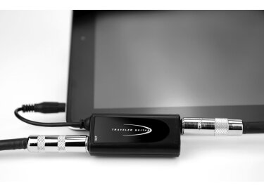 Traveler Guitar MI-10