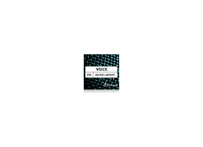 iZotope Voice