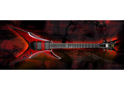 DBZ Guitars Bird of Prey FM