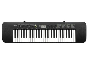 Casio CTK-240