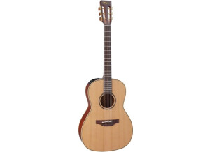 Takamine P3NY