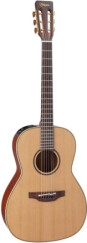 Takamine P3NY