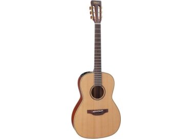 Takamine P3NY
