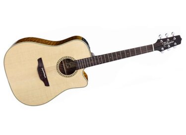 Takamine EF300W
