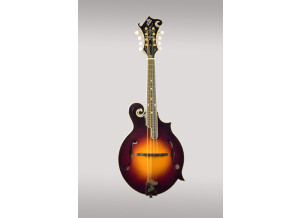 The Loar LM-700-VS