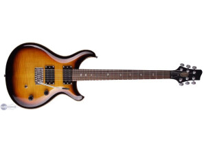 Stagg R500