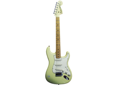 Fender Custom Shop Masterbuilt '69 Relic Stratocaster (by Greg Fessler)