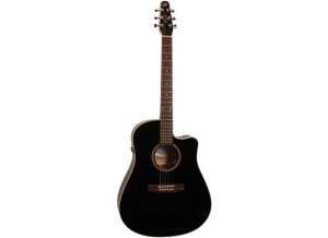 Seagull Entourage CW GT QI