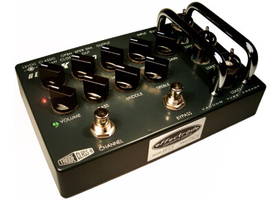Effectrode Blackbird