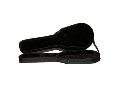 Gator Cases GL-LPS
