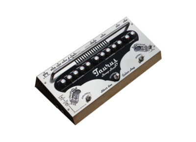 Taurus Stomp-Head 4.SL