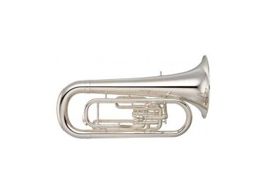 Yamaha YEP-201M
