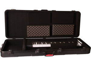 Gator Cases GKPE-76-TSA