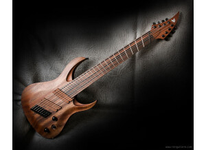 Ran Guitars Crusher (8 cordes) et Crusher FF8