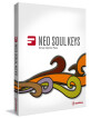 Steinberg Neo Soul Keys