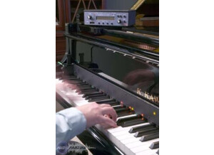 Moog Music Piano Bar
