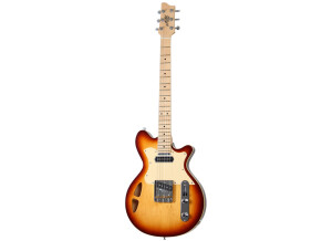 Maton MS T-Byrd