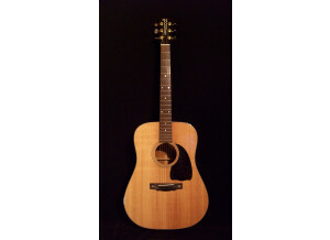 Hohner HG 318