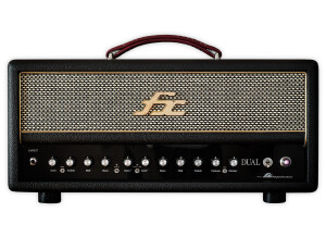 FX Amplification Dual