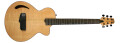 Willcox Atlantis Thinline Edition